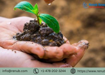 Agriculture Micronutrients Market: Global Industry Trends, Share, Size, Growth, Opportunity, and Forecast 2022-2028 | Renub Research
