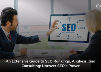 An Extensive Guide to SEO Rankings, Analysis, and Consulting: Uncover SEO's Power