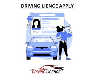 The Convenience of Applying for a Driving License Online