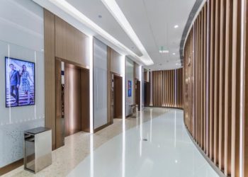 elevator brands in india