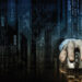 The Future of Dark Websites: Trends and Predictions