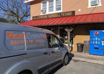 The Role of Professional Mold Removal in Protecting Indoor Air Quality